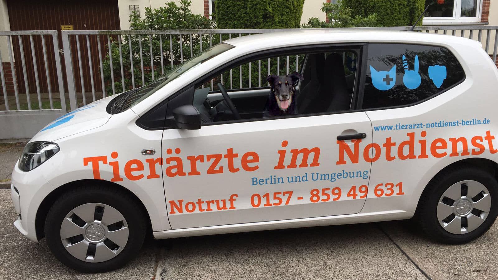 Tierärzte im Notdienst - Tiernotarzt für Berlin und Brandenburg