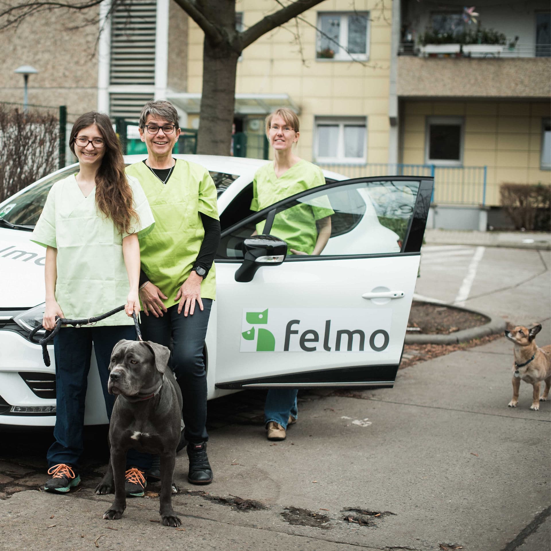 felmo Mobiler Tierarzt Berlin