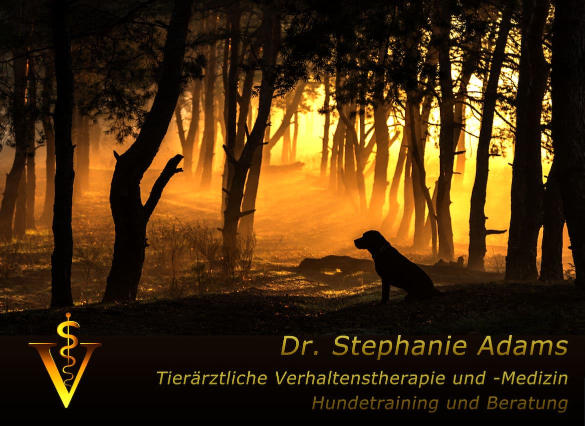 Dr. med. vet. Stephanie Adams - Tierverhaltenstherapie