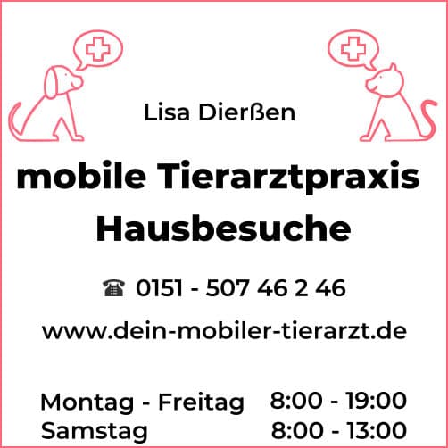 Dein mobiler Tierarzt