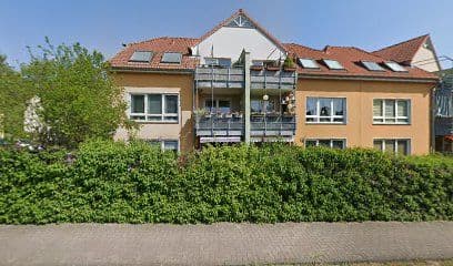 Mobile Hundephysiotherapie Berlin