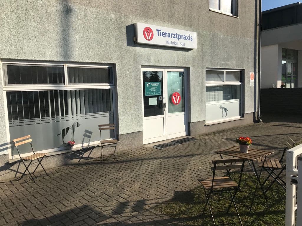 Tierarztpraxis Kaulsdorf-Süd, Tierärztin F.Juraske