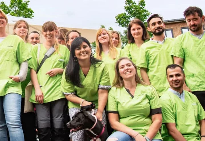 felmo Tierarztpraxis Berlin
